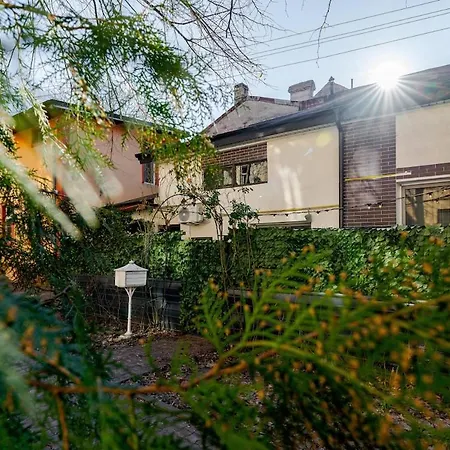 Downtown Homey Duplex With Private Yard *