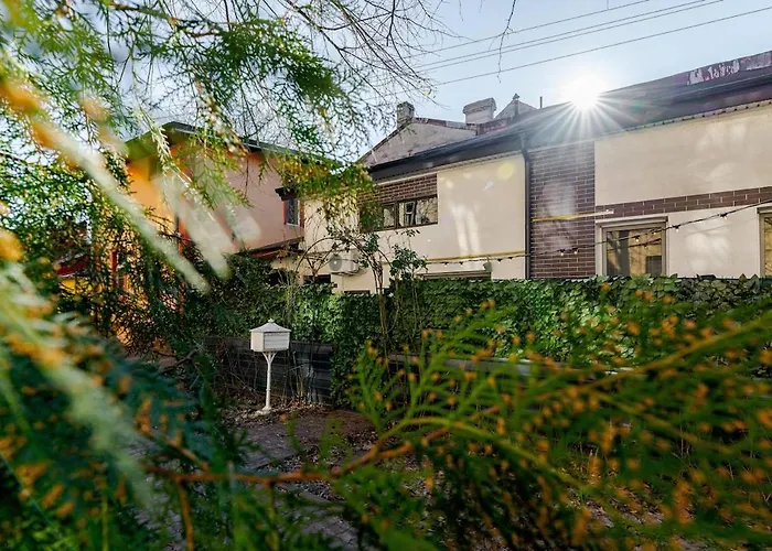 Downtown Homey Duplex With Private Yard *