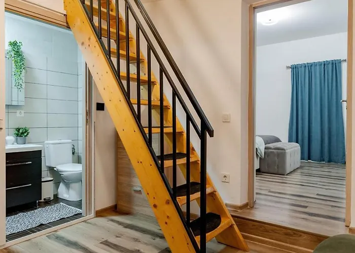 Apartment Downtown Homey Duplex With Private Yard *