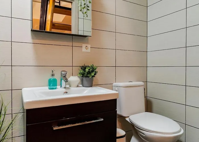 Downtown Homey Duplex With Private Yard * Bucharest